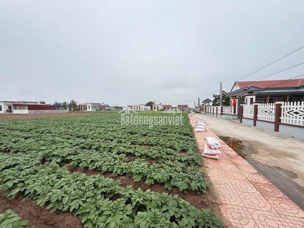 Bán đất nền ven biển Quất Lâm sẵn sổ full cư