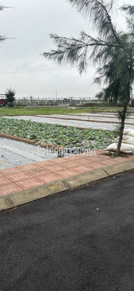 Bán đất nền ven biển Quất Lâm sẵn sổ full cư