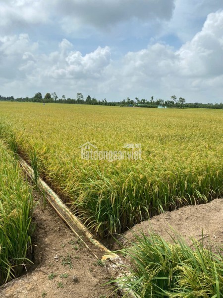 Phòng trọ ký túc xá Quận 10 đầy đủ tiện nghi chỉ 950k/ tháng trọn gói miễn phí điện nước wifi
