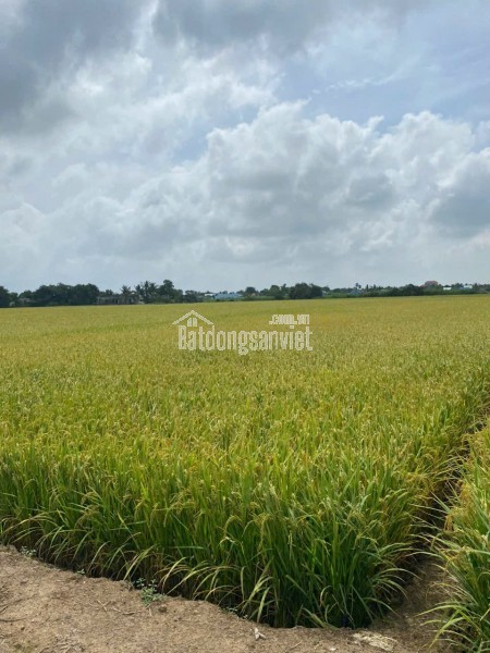 BÁN TÒA NHÀ CHDV CAO CẤP – TRUNG TÂM QUẬN 10 🧧NAY GIẢM CHỈ GÒN 17.2 TỶ 📍Địa chỉ: Sư Vạn Hạnh,