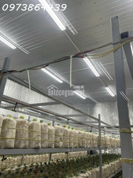 NHÀ ĐẸP 2 TẦNG HẺM XE HƠI THÔNG – LÂM THỊ HỐ - Q.12 – NGAY HIỆP THÀNH CITY –42 M2 - 2PN - 2WC-