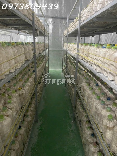 NHÀ ĐẸP 2 TẦNG HẺM XE HƠI THÔNG – LÂM THỊ HỐ - Q.12 – NGAY HIỆP THÀNH CITY –42 M2 - 2PN - 2WC-