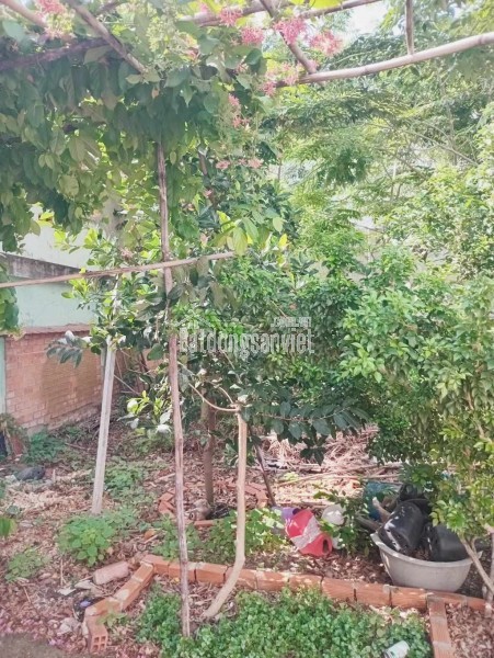 BÁN ĐẤT THỔ CƯ RẺ - P. TÂN THỚI NHẤT, Q12 - 84 M2 - GẦN QL1A - HẺM ÔTÔ - CHỈ 4.2 TỶ - CHỈ 50TR/M2