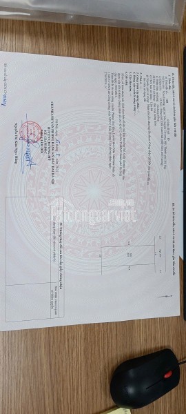 Đất Đại Yên chỉ 1,9 tỷ x có ngay lô đất 42,5m ( mặt tiền và hậu đều 3,8m)
Cách đường tỉnh lộ 419