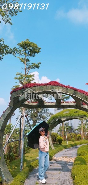 BÁN KHO XƯỞNG 1003M2 MẶT TIỀN TRẦN ĐẠI NGHĨA, BÌNH CHÁNH - GIÁ CHỈ 36 TỶ