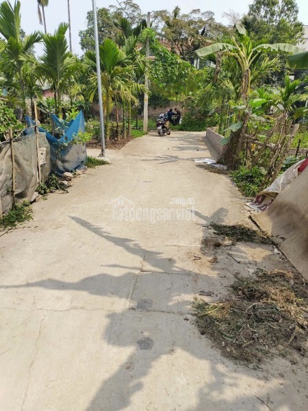 BÁN NHÀ TẢ THANH OAI - GÂN CẦU BƯƠU, GẦN VIỆN 103 - 31,5M2 5 TẦNG
MT4,4M GIÁ HƠN 4 TỶ