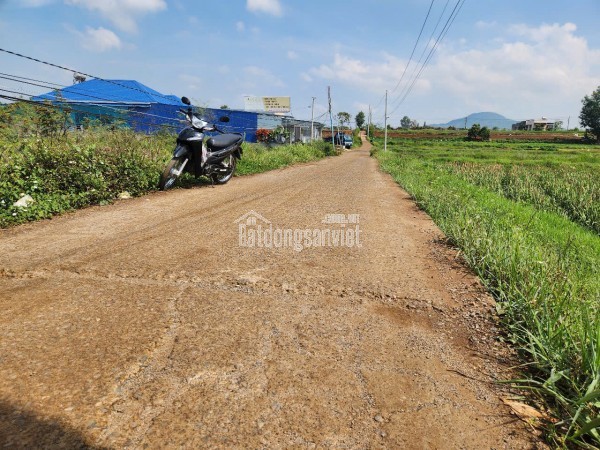 BÁN 101,2 M2 ĐẤT NGHĨA HIỆP - LIÊN NGHĨA - ĐỨC TRỌNG - LÂM ĐỒNG - GIÁ CHỈ 1.3 TỶ