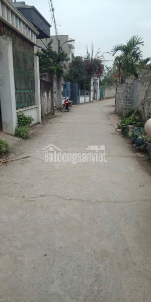 em cần bán gấp
Sổ vừa về nóng tay 3 Lô Ô tô Tải tại Tiên Trượng, Xuân Mai
- Diện tích: 74,2m -