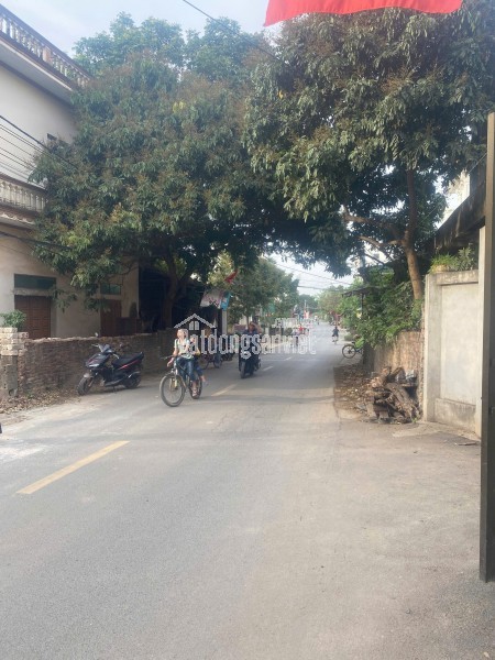 em cần bán gấp
Sổ vừa về nóng tay 3 Lô Ô tô Tải tại Tiên Trượng, Xuân Mai
- Diện tích: 74,2m -