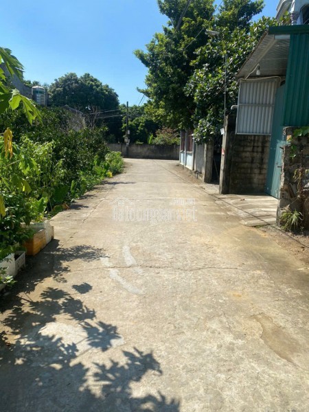 em cần bán gấp
Sổ vừa về nóng tay 3 Lô Ô tô Tải tại Tiên Trượng, Xuân Mai
- Diện tích: 74,2m -