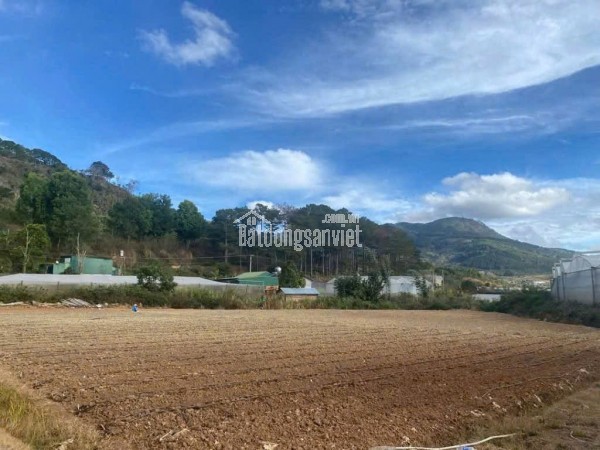 BÁN 6000M2 ĐẤT XÃ HIỆP AN - ĐỨC TRỌNG LÂM ĐỒNG - Giá bán : 13 tỷ
