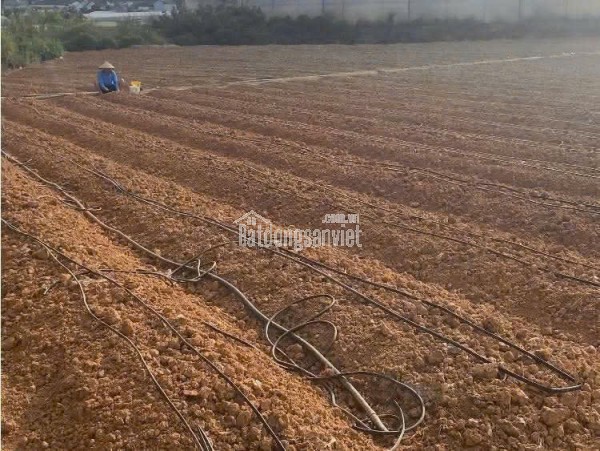 BÁN 6000M2 ĐẤT XÃ HIỆP AN - ĐỨC TRỌNG LÂM ĐỒNG - Giá bán : 13 tỷ