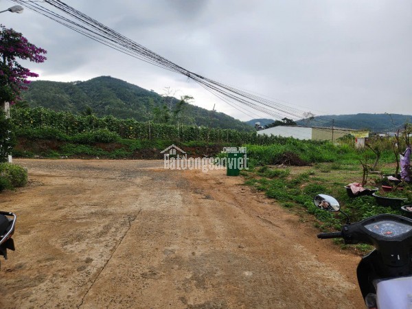 CẦN BÁN LÔ ĐẤT THỊ TRẤN LIÊN NGHĨA ĐỨC TRỌNG LÂM ĐỒNG giá chỉ 1.2 tỷ