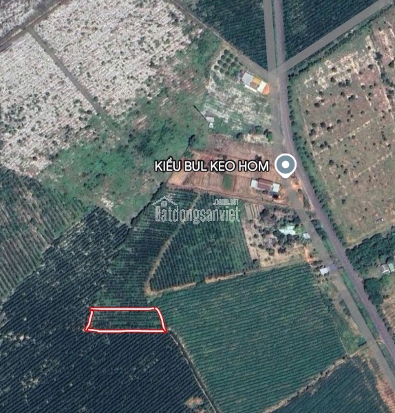 Đất Đẹp Thắng Hải – 1236m² Giá Chỉ 1,2 Tỷ – Đầu Tư Sinh Lời Cao