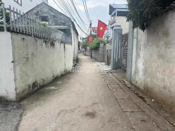 ĐƯỜNG Ô TÔ - ĐẤT VUÔNG ĐẸP - CÁCH TRỤC CHÍNH KINH DOANH 50M - TIỆN ÍCH BẠT NGÀN