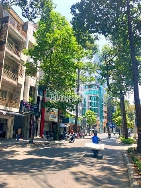 Bán Nhà Mặt Tiền Đường Nguyễn Công Trứ, P. Nguyễn Thái Bình, Q.1 - 85 Tỷ (4.45 x 21.3m)