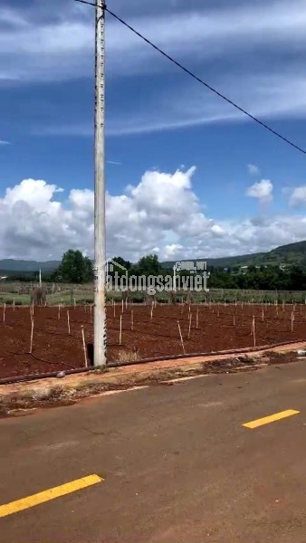 Bán nhanh 3 nền thổ cư hiệp thạnh liên nghĩa Đức Trọng - giá chưa chạm 1 tỷ