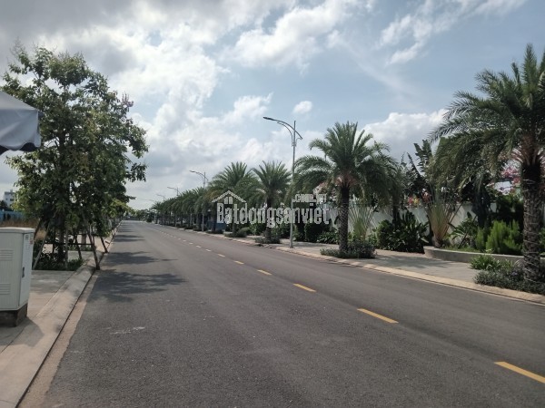 Bán đất tại Đường Nguyễn Hữu Trí, Thị trấn Tân Túc, Huyện Bình Chánh, TP HCM giá 1 tỷ 900 triệu