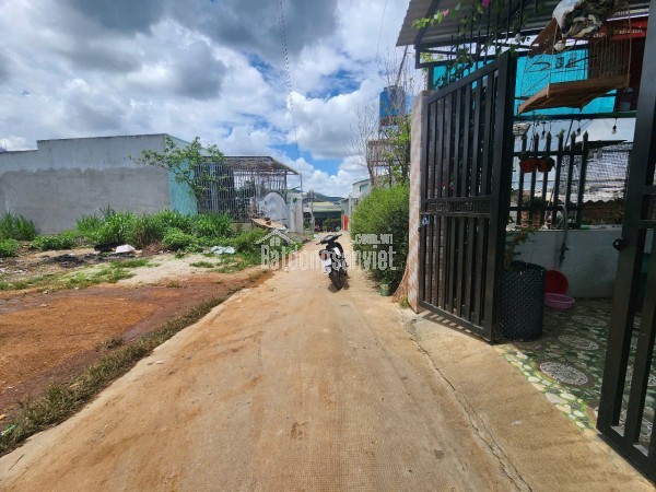 Bán đất 128.3m2 Đường Lý Thường Kiệt Thị trấn Liên Nghĩa - Đức Trọng