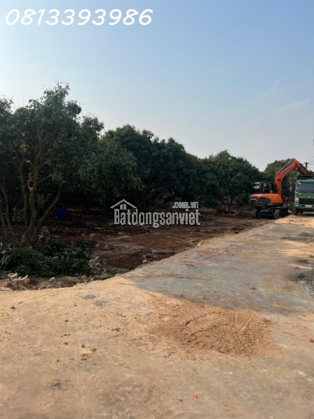 LÔ GÓC 176M² NGAY TRỤC ĐƯỜNG LIÊN XÃ – GIÁ SIÊU RẺ, SỔ SẴN SANG TÊN NGAY