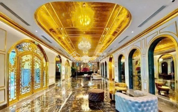 Toà Nhà Mặt Phố Phan Kế Bính , Linh Lang , Vỉa Hè, Kinh Doanh , Gara . 110 m2, 9 Tầng, MT 11m. Hơn