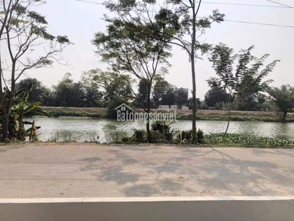 Bán resort 4 sao mặt tiền đường Nguyễn Đình Chiểu Mũi Né TP. Phan Thiết, KD ổn định
