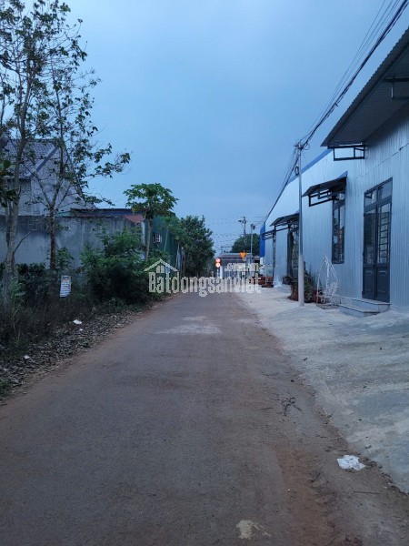 🔥 ĐẤT ĐẸP THỔ CƯ EA KAO – 2 MẶT TIỀN NHỰA – CÁCH Y WANG CHỈ 80M! 🔥 CẠNH ĐƯỜNG HỒ CHÍ MINH