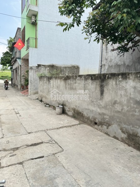 BÁN GẤP 44M2 LÔ ĐẤT THÁI BÌNH MAI LÂM - GIÁ 99tr/1m(TRONG ĐÊ), NGÕ Ô TÔ THÔNG