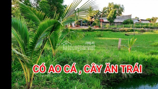 280 Triệu sang Tên 1000m2 có Thổ Cư, Gần DT 818, mỗi tháng trả thêm 3 triệu