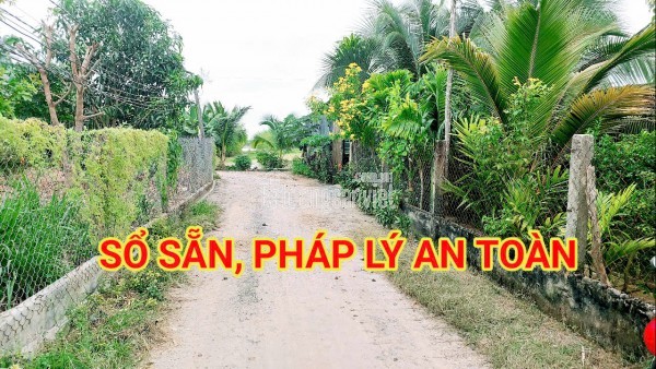 300 Triệu sang Tên 1000m2 có Thổ Cư, Gần DT 818, mỗi tháng trả dần 3 triệu
