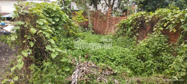 Bán gấp 60m2 đất trồng cây lâu năm Lê Văn Khương, Đông Thạnh Hóc Môn