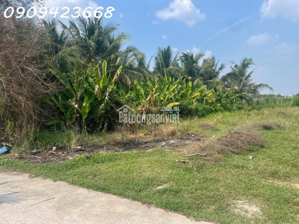 CHÍNH CHỦ CẦN TIỀN KINH DOANH – BÁN GẤP LÔ ĐẤT ĐẸP GẦN VINHOMES 197HA ĐỨC HÒA