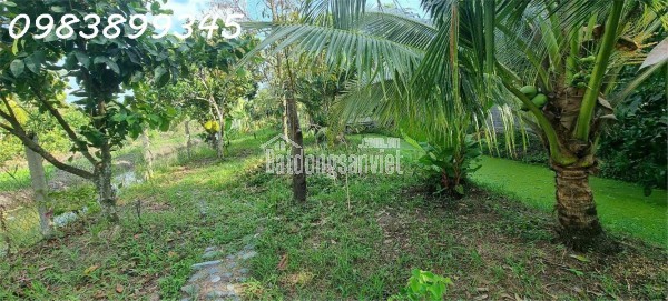 Nhà Phố Liền Kề Ven Hồ Chí Minh Giá Tốt
