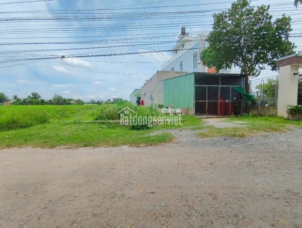 Lô đất đường nhựa ngay TT. Hậu Nghĩa, gần chợ, trường, TTHC