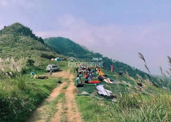 Lô góc, tái định cư Văn Mỹ, Chương Mỹ, 100m2, giá 2,3 tỷ. Sát sân golf.