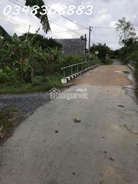 CẦN TIỀN NÊN BÁN GẤP MẢNH ĐẤT VƯỜN HƠN 1.000M² Ở CHÂU HƯNG BÌNH ĐẠI, BẾN TRE – SỔ ĐỎ SẴN