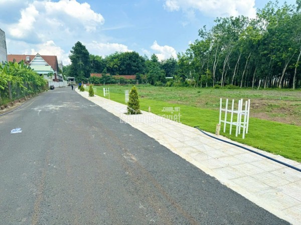 🌿 CHỦ NGỘP CẦN BÁN LÔ ĐẤT NGHỈ DƯỠNG VIEW HỒ – GIÁ CHỈ 1 Tỷ 2 Còn thương lượng