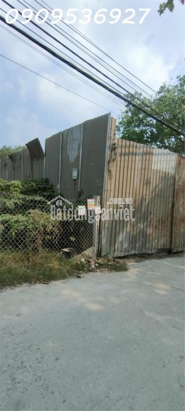 BÁN ĐẤT LÚA TÂN TẠO BÌNH TÂN – 500M² (12x45) – SỔ RIÊNG – GIÁ CHỈ 6.55 TỶ