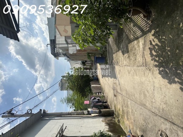 BÁN ĐẤT LÚA TÂN TẠO BÌNH TÂN – 500M² (12x45) – SỔ RIÊNG – GIÁ CHỈ 6.55 TỶ
