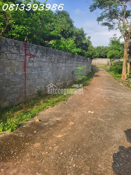 📣 Đất nền giá sốc dưới 500 triệu gần khu công nghiệp lớn
