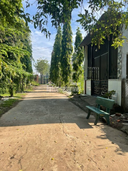 Bán đất ngay cổng KCN Giang Điền, 1 sẹc Trần Vĩnh Lộc, 1 tỷ 100m2