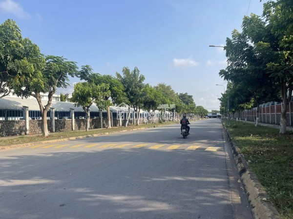 🚨 CHỦ CẦN BÁN GẤP – GIÁ CHỐT 785 TRIỆU (Bao sổ)