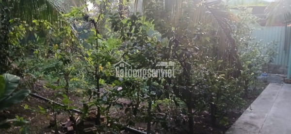Bán 1 công đất MẶT TIỀN đường DT 870 Cầu Rạch Miễu 2.