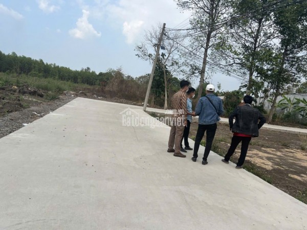Mặt tiền 7,3m Quảng Tiến 28, có thổ cư, gọi em Duy 077 558 1080