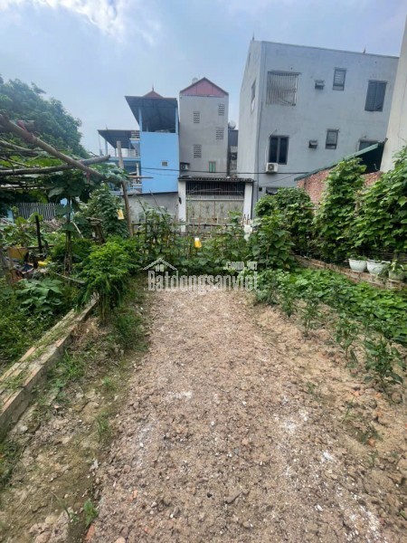 115 m vuông vắn lộc lá tại tai Cán Khê-xã Nguyên Khê -Đông Anh-10.5 tỷ