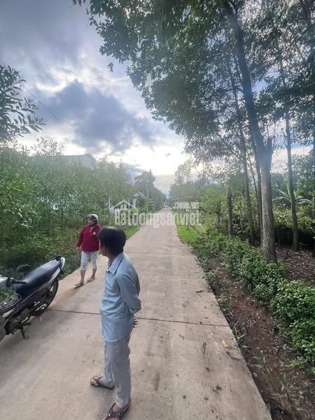 ĐỊA THẾ ĐẸP – GIÁ TỐT – LÔ ĐẤT LÝ TƯỞNG TẠI BÌNH AN – LONG THÀNH