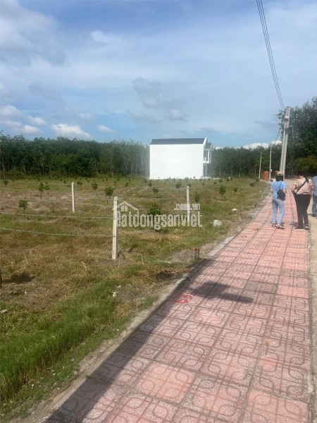 Đất nền thổ cư thuộc TP.HCM chỉ với 200 triệu, 250m2, sổ hồng sẵn