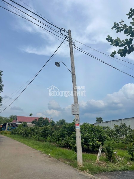 Nhà mới Bình Minh, 105m2 tc,đ thuê 3 tr/th, cạnh trường Trịnh Hoài Đức, Đồng Nai