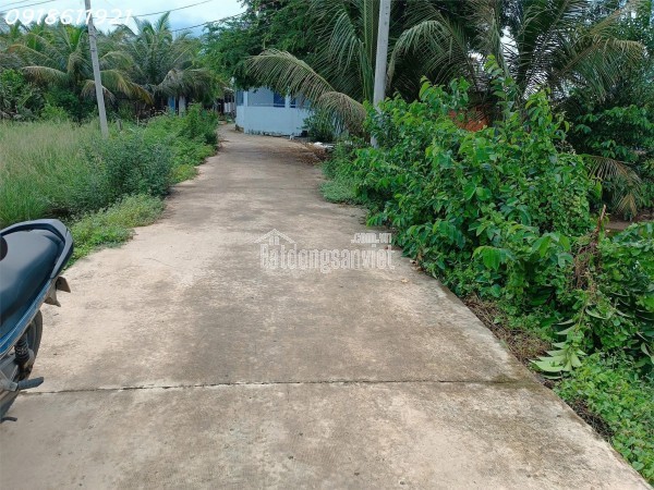 Bán đất Thổ cư tại Long An giá cực mềm cho mua ở và đầu tư pháp lý chuẩn