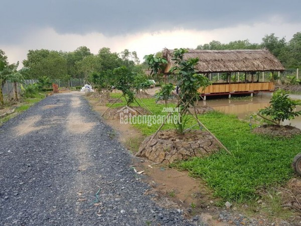 Bán Gấp 1000m2 Đất Vườn Giá 210 Triệu Liên Hệ 0706320631 gặp A An